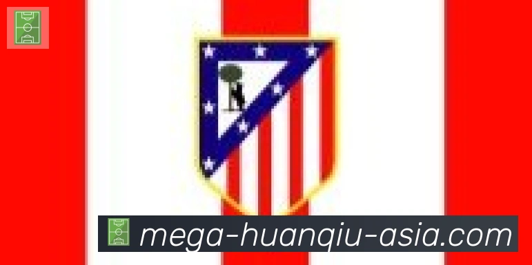 环球体育官网合作伙伴